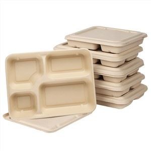 Bagasse Şeker Kamışı Paket Kaplar