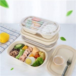 Tek Kullanımlık Kapaklı Bento Kutusu