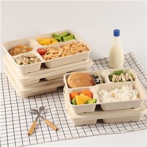Şeker kamışı Bagasse Gıda Kapları