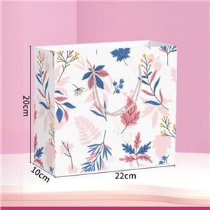 Özel Baskılı Kağıt Hediye Çantası